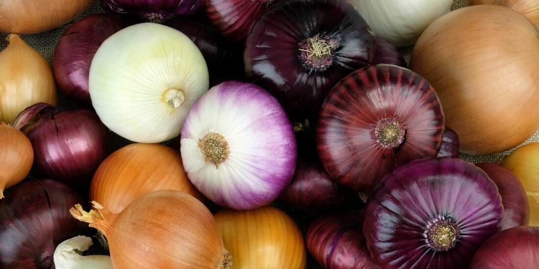 red-and-white-onions